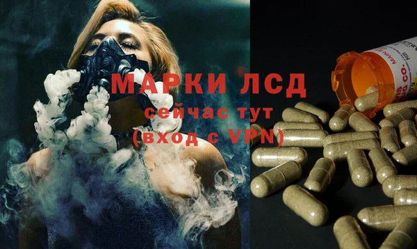 индика Пестово