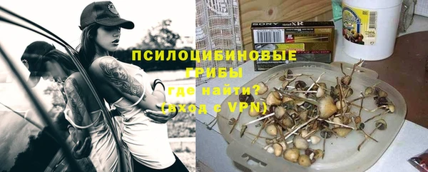 первитин Осинники